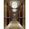 Потолок и вниз лампа деревянного украшения кабины лифта роскошный